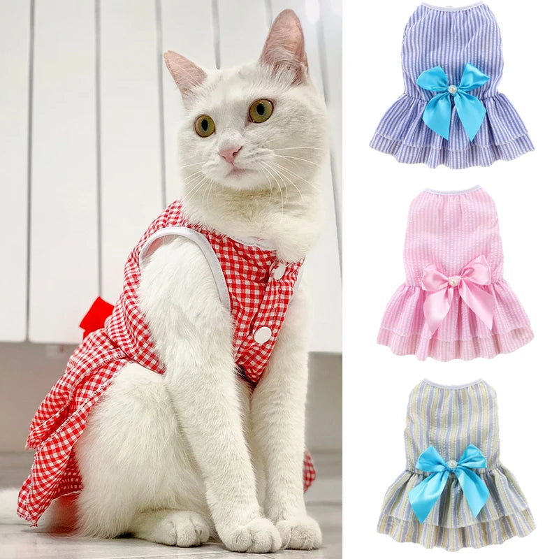 Katzenwelpen-Prinzessinnenkleid für Katzenkätzchen