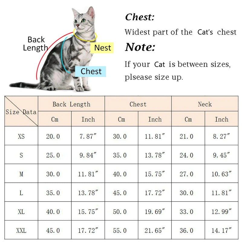 Katzenwelpen-Prinzessinnenkleid für Katzenkätzchen