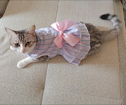 Katzenwelpen-Prinzessinnenkleid für Katzenkätzchen