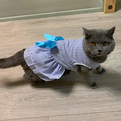 Katzenwelpen-Prinzessinnenkleid für Katzenkätzchen