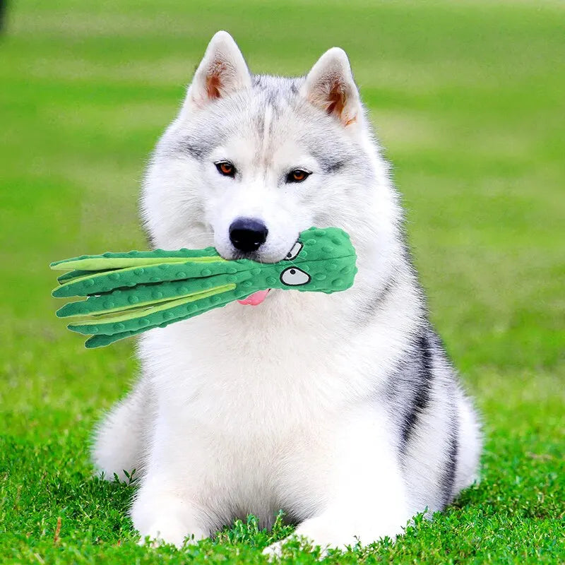 Plüsch-Hundespielzeug Oktopus Quietschspielzeug