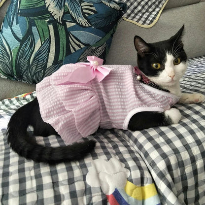 Katzenwelpen-Prinzessinnenkleid für Katzenkätzchen