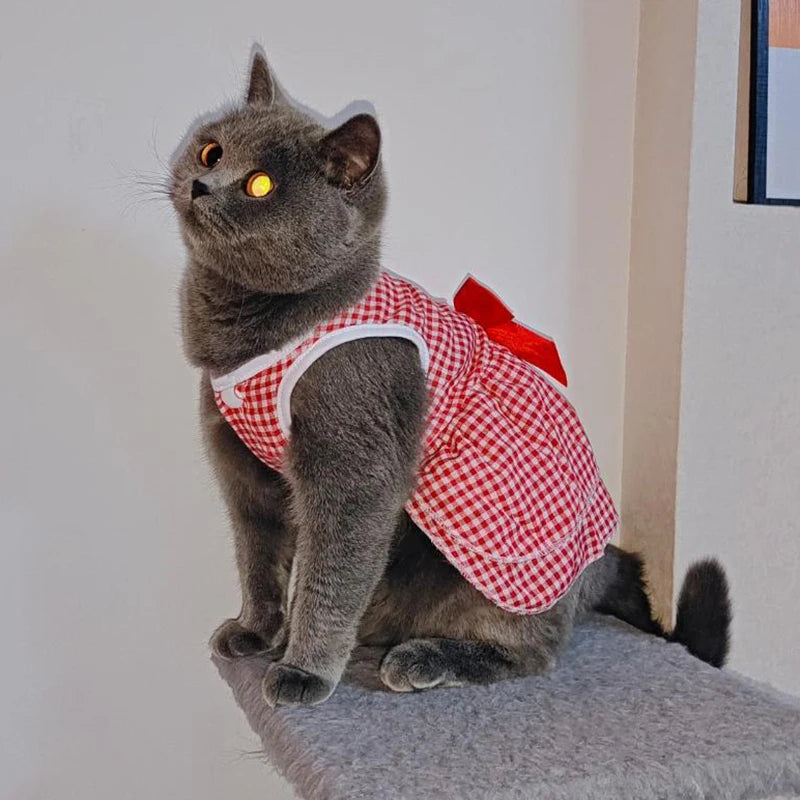 Katzenwelpen-Prinzessinnenkleid für Katzenkätzchen