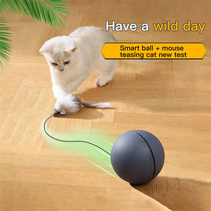 Interaktiver Katzenspielzeugball mit Tracking-Maus, automatisches Rollen