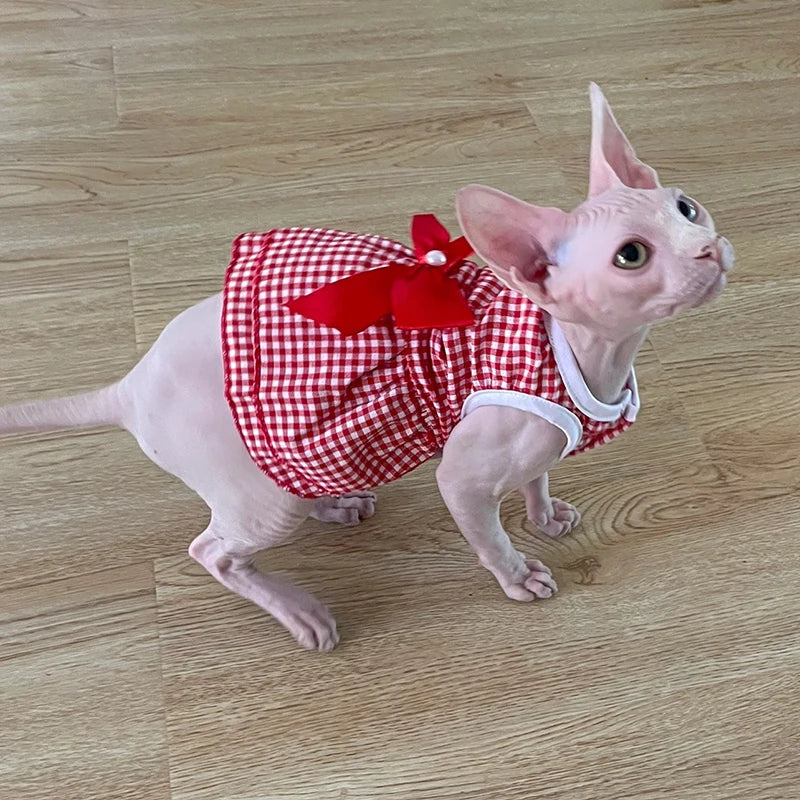 Katzenwelpen-Prinzessinnenkleid für Katzenkätzchen